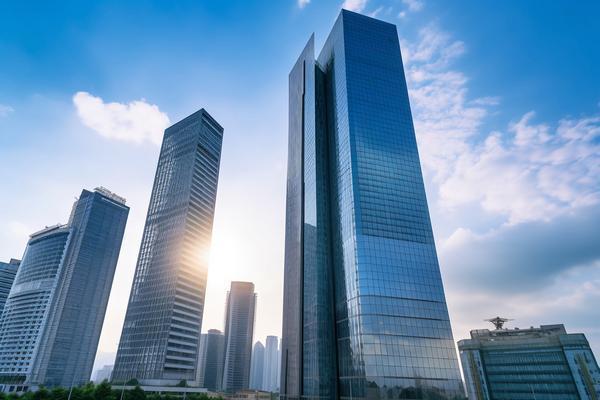 《电子商务中隐私权参考：从法律法规到实践应用》图1