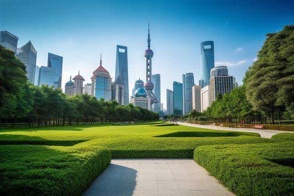 加强隐私权保护，共建安全网络环境 图1