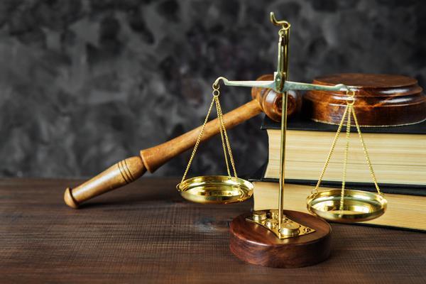 中国禁毒法与刑法体系及适用 图2