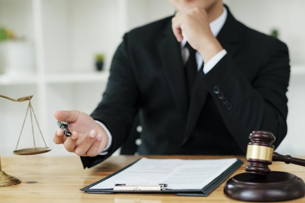 业主的主要权利解析：专有权与共有权的法律