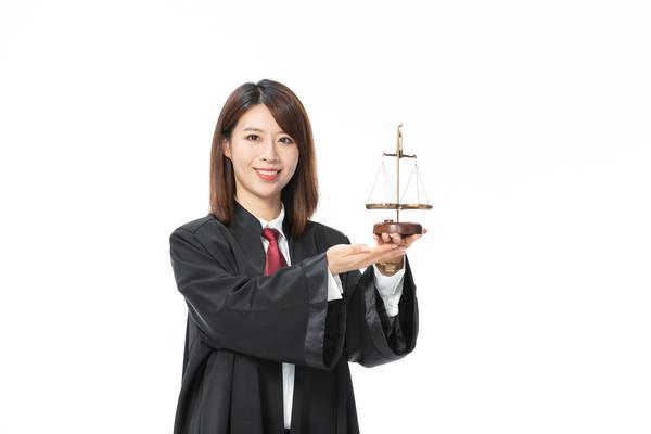侵权纠纷律师|专业解析与实务分析 图1