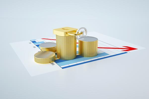 股东逃避个人债务：公司治理中的法律风险管理与应对策略 图2
