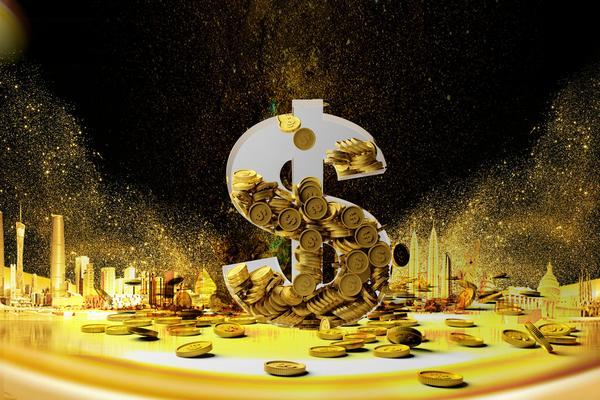 投资者投入的公司资金称为“股权融资”或“股权投资”。图1