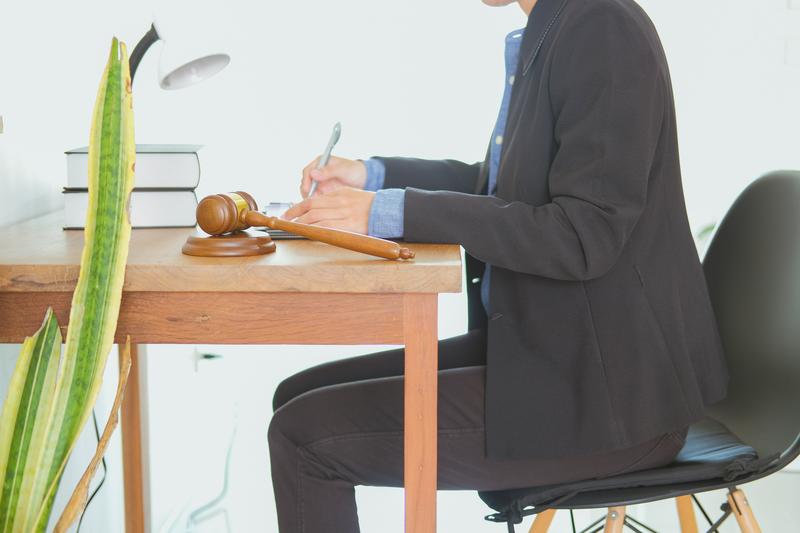 《担保法》第三十七条规定：担保人对债务人的债务承担保证责任 图2